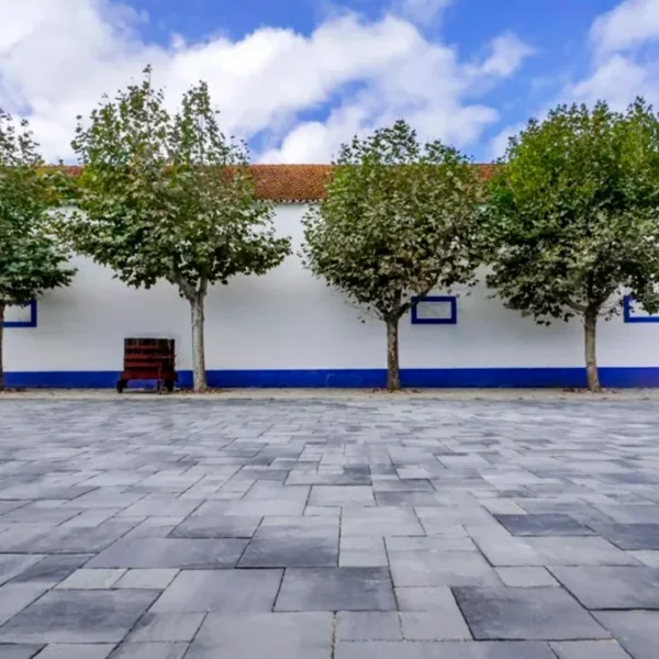 QUINTA_ATELA_4