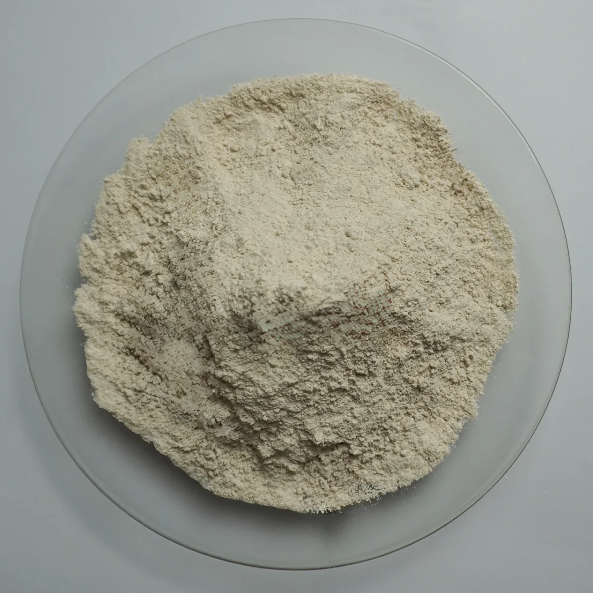 MS/F Calcium - Image 1